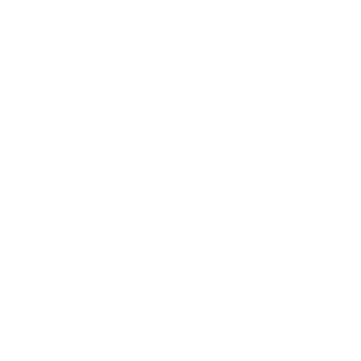 Revonix
